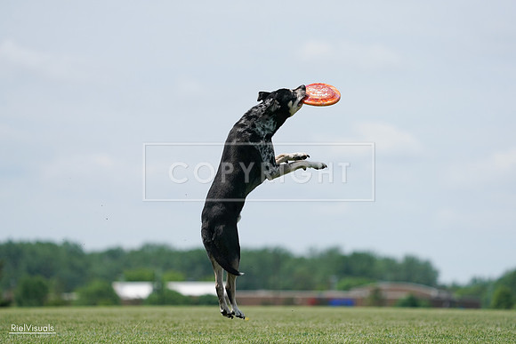 RielVisuals_20240525_123112_SJR00139