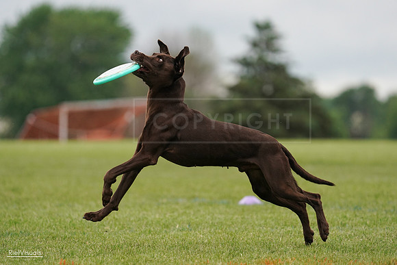 RielVisuals_20240527_132520_SJR09698