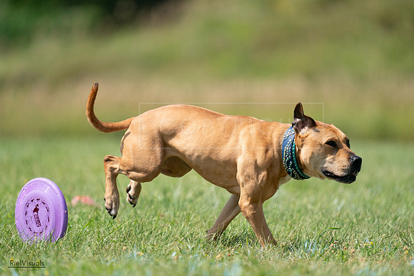 RielVisuals_20240728_150703_SJR00121