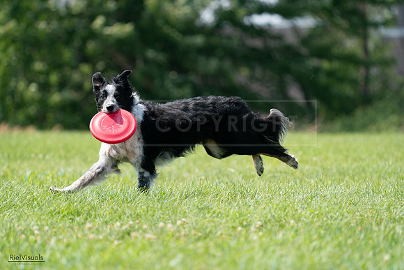 RielVisuals_20240728_145611_SJR09607
