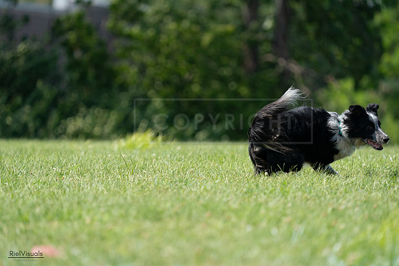 RielVisuals_20240728_145641_SJR09644
