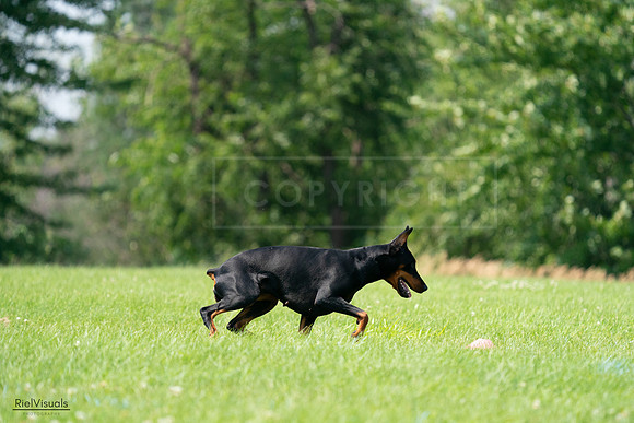 RielVisuals_20240727_135317_SJR08784