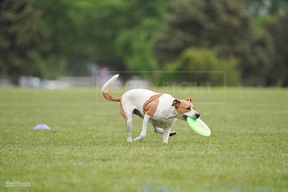 RielVisuals_20240526_092011_SJR09643