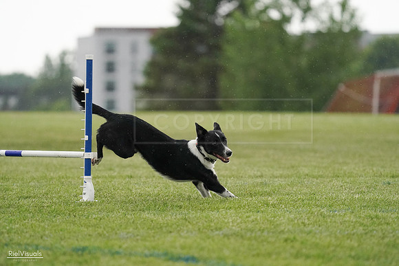 RielVisuals_20240526_093358_SJR00365