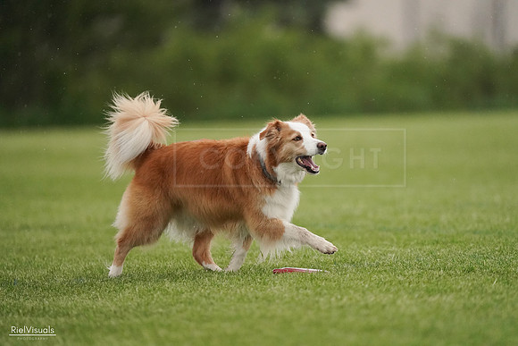 RielVisuals_20240526_094037_SJR00759