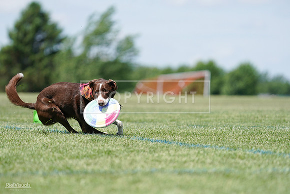 RielVisuals_20240525_121935_SJR09504