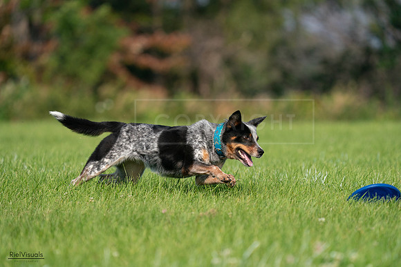 RielVisuals_20240727_094804_SJR07546