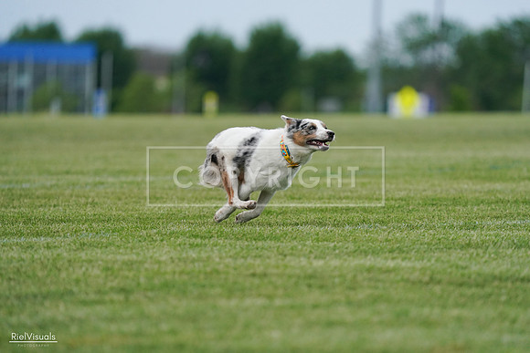 RielVisuals_20240525_165224_SJR05620