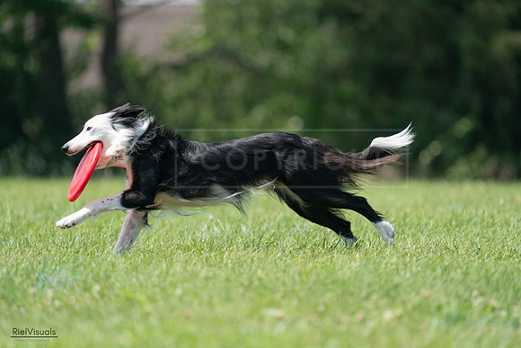 RielVisuals_20240728_142136_SJR08133