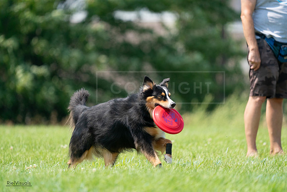 RielVisuals_20240727_140610_SJR09592