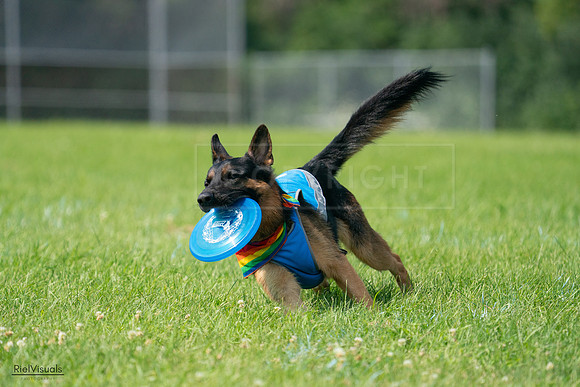 RielVisuals_20240728_104143_SJR08930