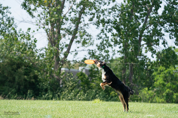 RielVisuals_20240728_143304_SJR08532