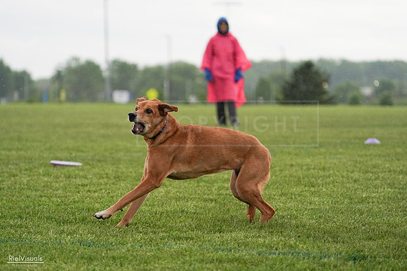 RielVisuals_20240526_093705_SJR00606