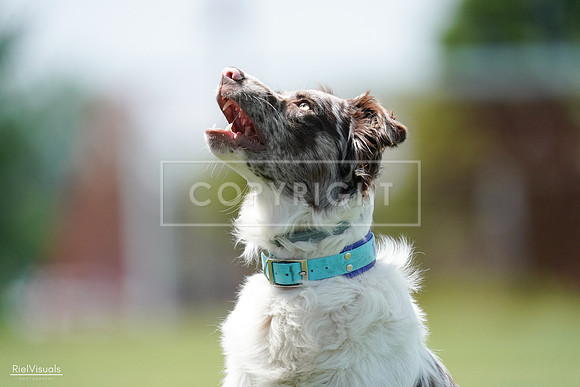 RielVisuals_20240525_120510_SJR08572