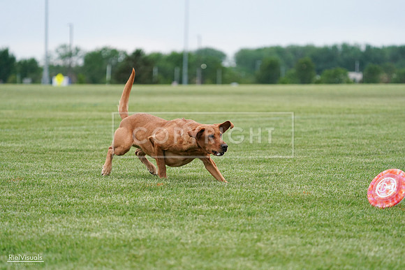 RielVisuals_20240525_165901_SJR05748