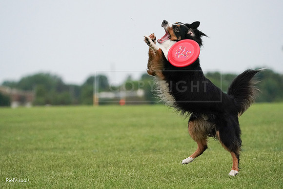 RielVisuals_20240527_091939_SJR06885
