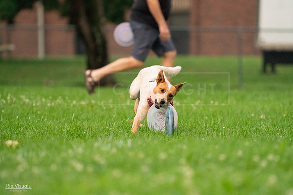RielVisuals_20240722_201418_SJR03276