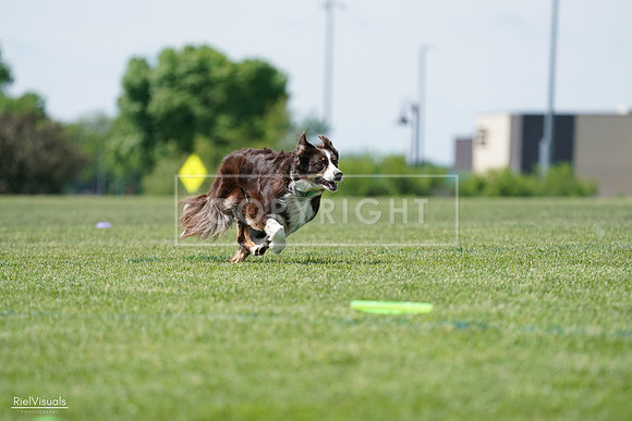 RielVisuals_20240525_120103_SJR08327