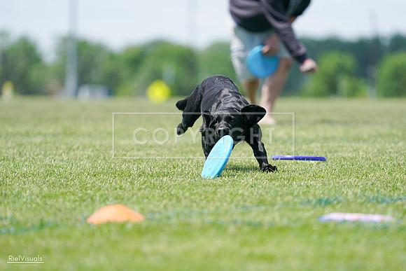 RielVisuals_20240525_121117_SJR09044