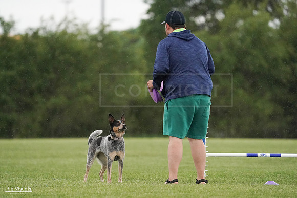 RielVisuals_20240526_094742_SJR01031