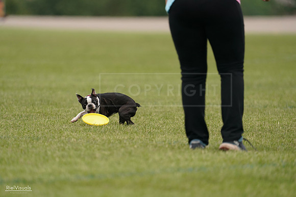 RielVisuals_20240527_142704_SJR02873