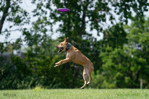 RielVisuals_20240728_150757_SJR00173