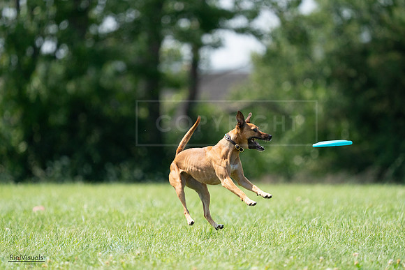 RielVisuals_20240728_150226_SJR09931