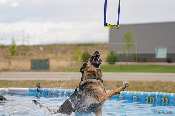 SJR01684