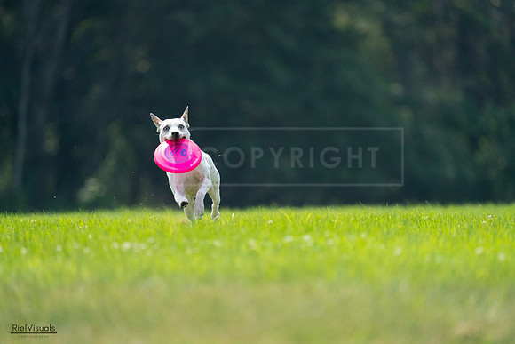 RielVisuals_20240727_120942_SJR04862