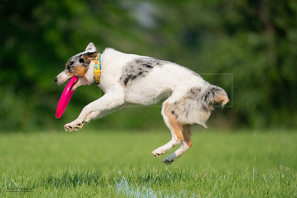 RielVisuals_20240727_092232_SJR06083