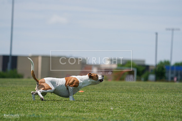 RielVisuals_20240525_121722_SJR09283