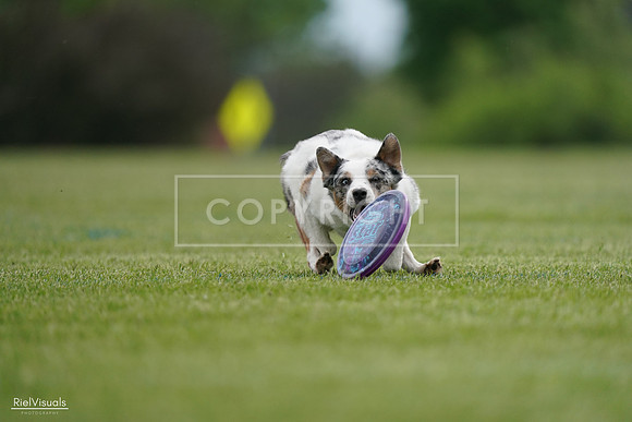 RielVisuals_20240525_161311_SJR03866
