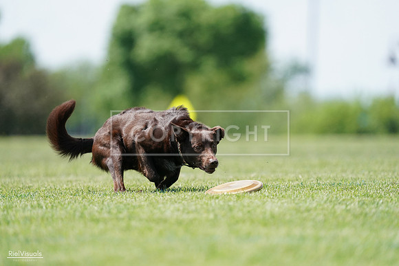 RielVisuals_20240525_120823_SJR08818