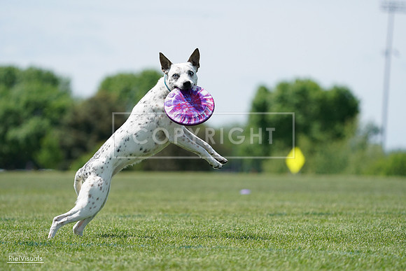 RielVisuals_20240525_120259_SJR08386