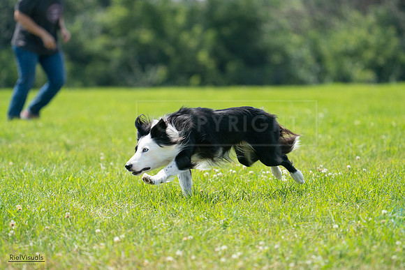 RielVisuals_20240728_130401_SJR04968
