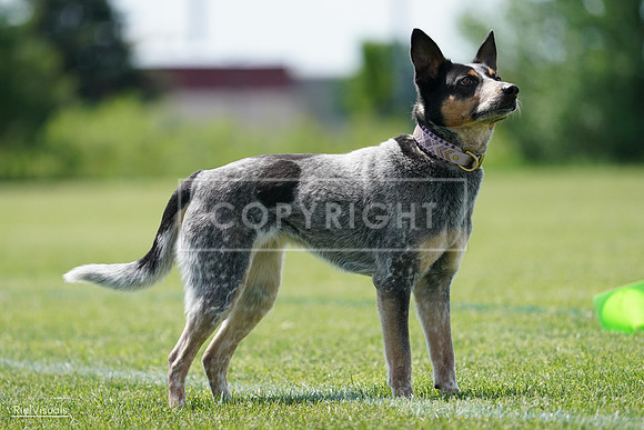 RielVisuals_20240525_122219_SJR09605