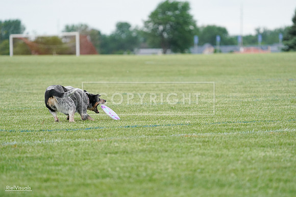 RielVisuals_20240525_170111_SJR05856