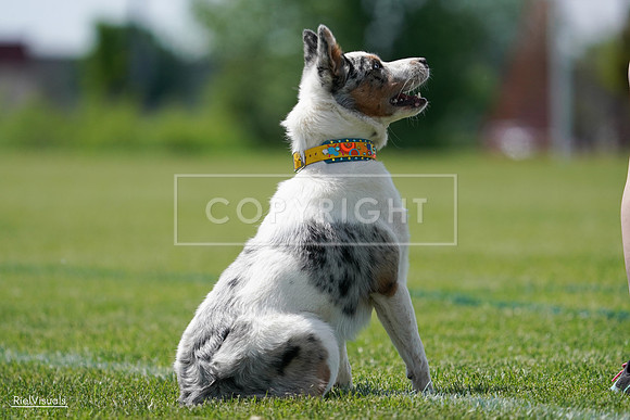 RielVisuals_20240525_121448_SJR09123