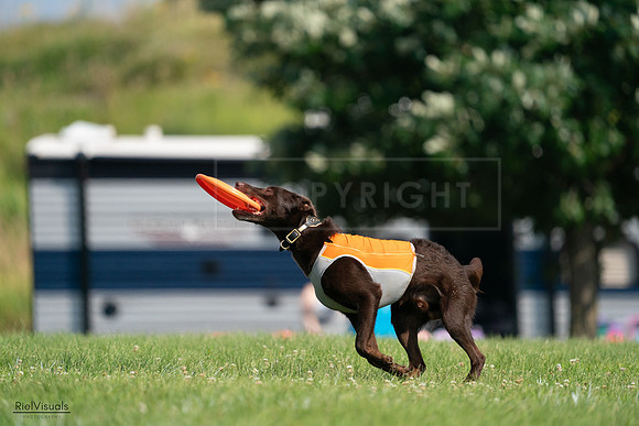 RielVisuals_20240728_095845_SJR06836