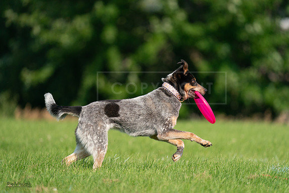 RielVisuals_20240727_093915_SJR07126