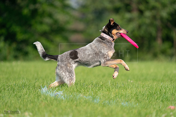 RielVisuals_20240727_093915_SJR07116