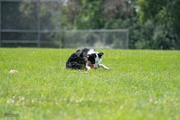 RielVisuals_20240728_130344_SJR04939