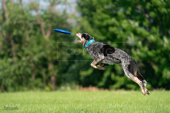 RielVisuals_20240727_094814_SJR07566