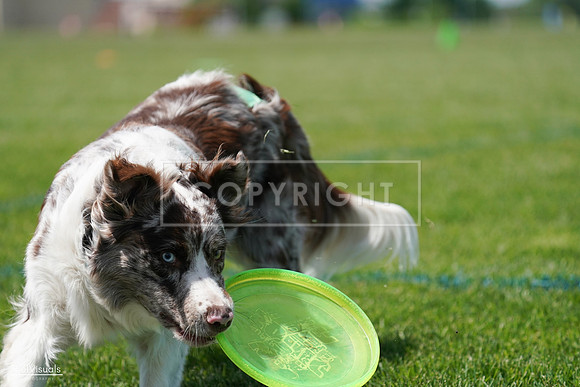 RielVisuals_20240525_120613_SJR08689