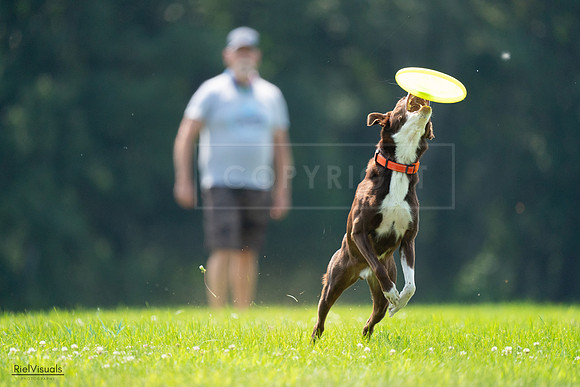 RielVisuals_20240727_121113_SJR04953