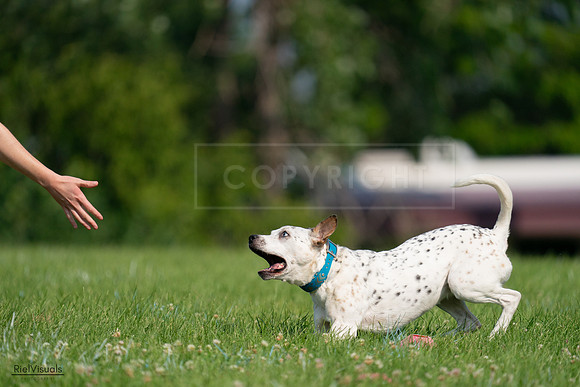 RielVisuals_20240727_095416_SJR07971