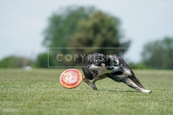 RielVisuals_20240525_123143_SJR00217