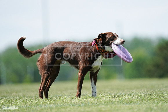 RielVisuals_20240525_122045_SJR09601