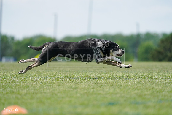 RielVisuals_20240525_123142_SJR00198