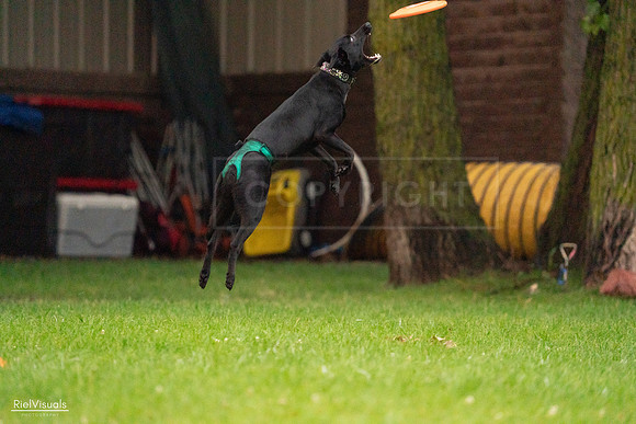RielVisuals_20240722_195333_SJR02241